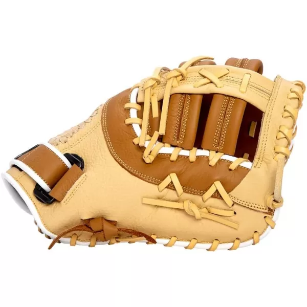 Mizuno Franchise Baseball Glove Series