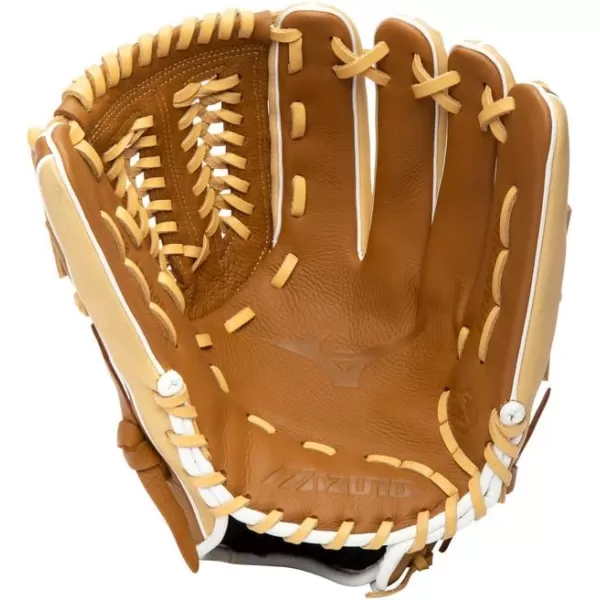 Mizuno Franchise Baseball Glove Series