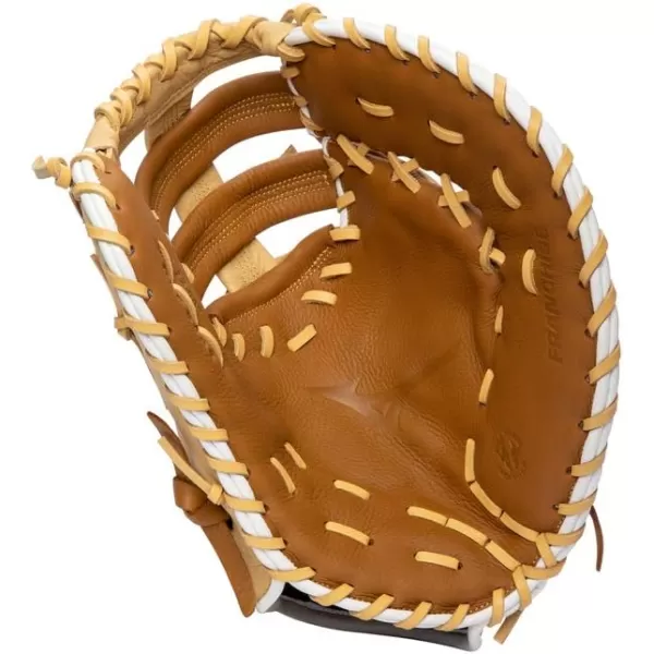 Mizuno Franchise Baseball Glove Series