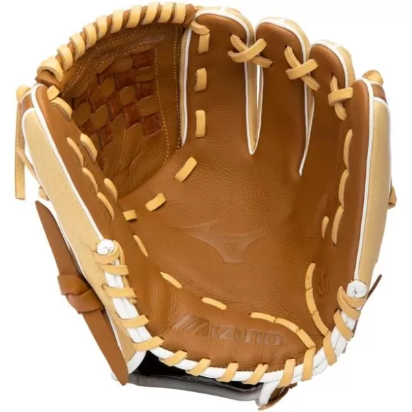 Mizuno Franchise Baseball Glove Series