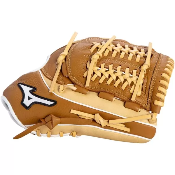 Mizuno Franchise Baseball Glove Series