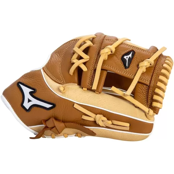 Mizuno Franchise Baseball Glove Series