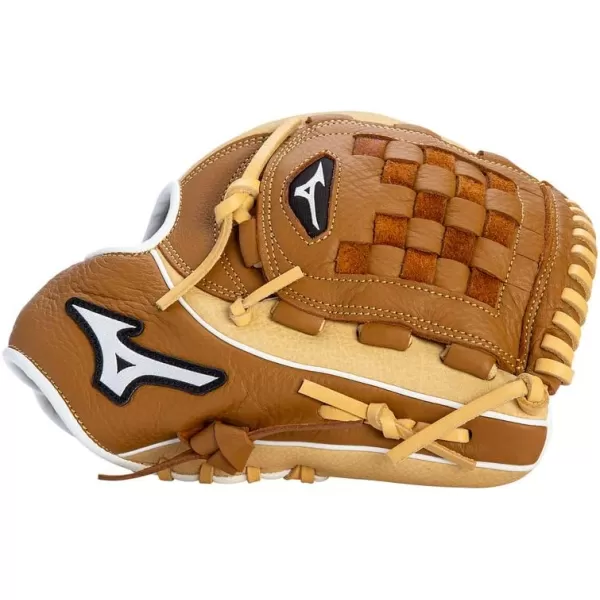 Mizuno Franchise Baseball Glove Series