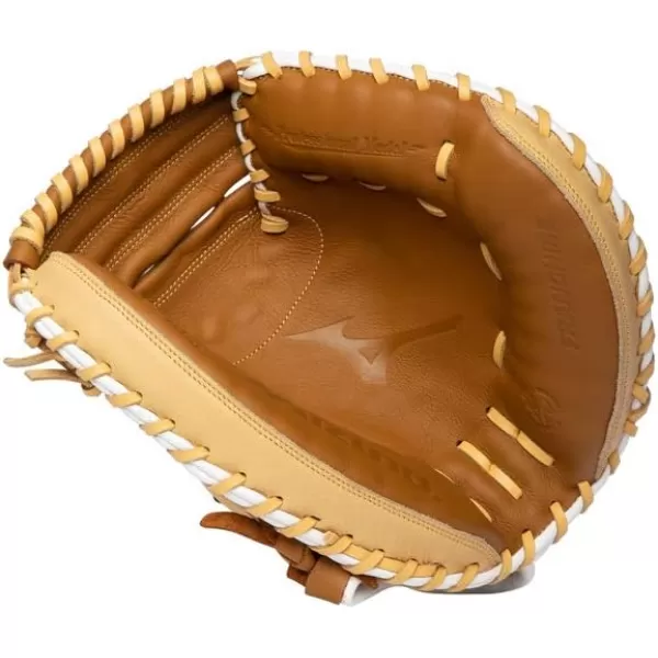 Mizuno Franchise Baseball Glove Series