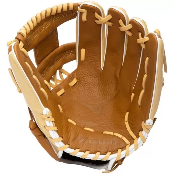 Mizuno Franchise Baseball Glove Series