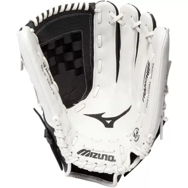 Mizuno Franchise Fastpitch Softball Glove Series