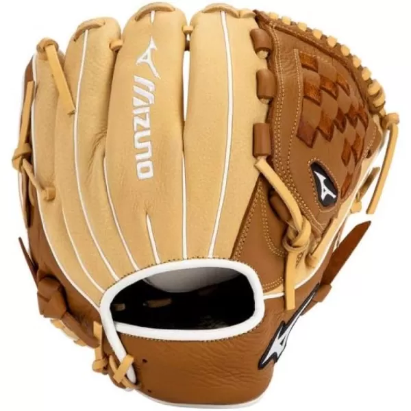 Mizuno Franchise Baseball Glove Series