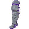 imageMizuno Mizuno Womens Samurai Boxed Catchers Gear SetGreyPurple