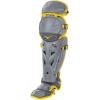 imageMizuno Mizuno Womens Samurai Boxed Catchers Gear SetGreyYellow