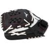 imageMizuno Prospect Finch Youth Softball Glove SeriesWhiteBlackPink Trident Web