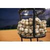 imageMizuno MB380 FullGrain Leather YouthAdult Baseballs  Box of One Dozen 12