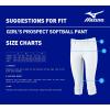 imageMizuno Girls Youth Prospect Softball PantGrey