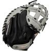 imageMizuno Franchise FastpitchGreyBlack Catchers Mitt