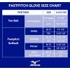 imageMizuno Franchise FastpitchGreyBlack Catchers Mitt