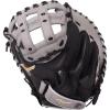 imageMizuno Franchise FastpitchGreyBlack Catchers Mitt