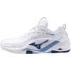 White/Bellwether Blue
