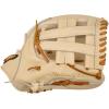 imageMizuno Mizuno ProCross 4 Web  Tan