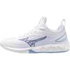 White/Bellwether Blue