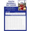 imageMizuno HOT Metal  Big Barrel Youth USSSA Baseball Bat  1085 Drop