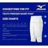 imageMizuno Youth Premier Short Baseball PantBlack