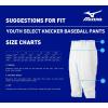 imageMizuno Youth Premier Short Baseball PantGrey