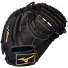 Black Catcher's Mitt