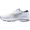 White-frontier Blue