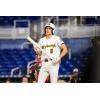 imageMizuno Pro PowerArc Baseball Batting GloveWhiteGold