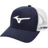 Navy/White