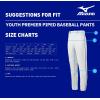imageMizuno Youth Premier Piped Baseball PantsGreyBlack