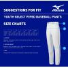 imageMizuno Youth Premier Piped Baseball PantsGreyRed
