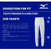 imageMizuno Youth Premier Piped Baseball PantsWhiteRed