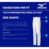 imageMizuno Youth Premier Pro Baseball Pant G2GreyRed