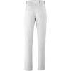 imageMizuno boys Youth Prospect Baseball PantGrey