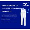 imageMizuno boys Youth Prospect Baseball PantWhite