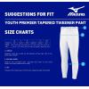 imageMizuno Boys Youth Premier Tapered Tweener PantBlack