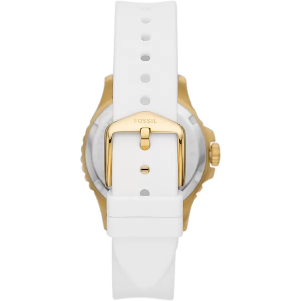 imageFossil Womens FB01 Stainless Steel DiveInspired Casual Quartz WatchGoldWhite