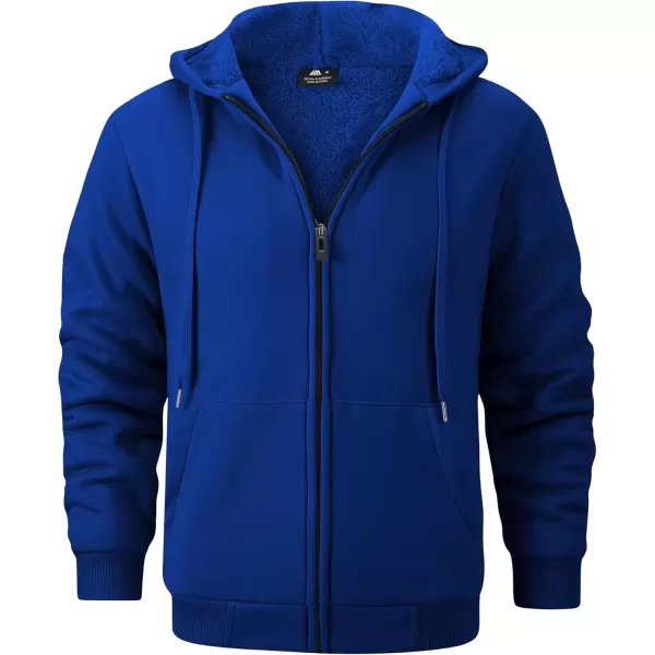 All Royal Blue