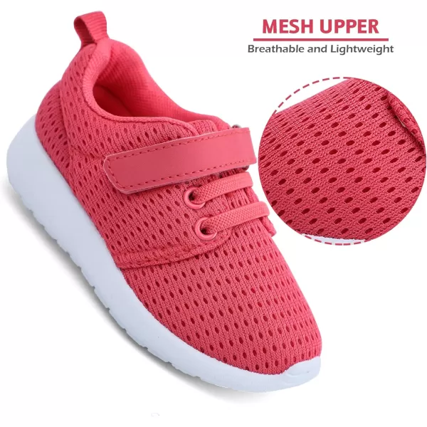 HIITAVE Toddler/Little Kid Boys Girls Shoes Running/Walking Sports Sneakers