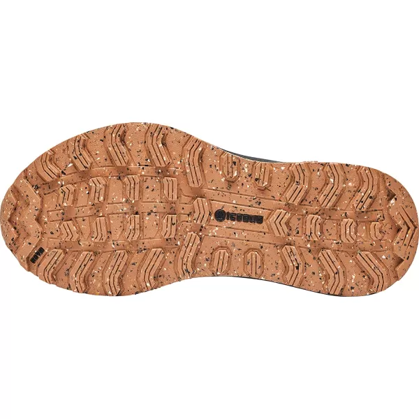 imageIcebug Mens Haze RB9X GTX Trail Hiking Shoe with Traction SoleBlackMaple