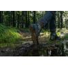 imageIcebug Rover 2 GTX  Mens Waterproof Outdoor Shoe with BOA Fit System and HighTraction SoleBlackSlategrey