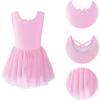 imageStelle Puff Sleeve Ballet Leotards for Girls with Sparkly Tutu Skirted Toddler Dance Dress Outfit Little KidBig Kid02sleevelessballet Pink