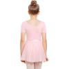 imageStelle Ballet Leotards for Girls Long Sleeve Dance Dress Outfit Combo with Skirt and Tights ToddlerLittle KidBig Kid04ballet Pink Shiny Skirt