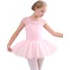 imageStelle Ballet Leotards for Girls Toddler Leotard with Tutu Skirt Dance Tutu Dress LittleBig Kid01ballet Pink
