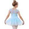 imageStelle Ballet Leotards for Girls Toddler Leotard with Tutu Skirt Dance Tutu Dress LittleBig Kid01blue