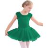 imageStelle Ballet Leotards for Girls Toddler Leotard with Tutu Skirt Dance Tutu Dress LittleBig Kid01green