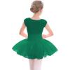 imageStelle Ballet Leotards for Girls Toddler Leotard with Tutu Skirt Dance Tutu Dress LittleBig Kid01green