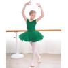 imageStelle Ballet Leotards for Girls Toddler Leotard with Tutu Skirt Dance Tutu Dress LittleBig Kid01green