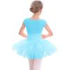 imageStelle Ballet Leotards for Girls Toddler Leotard with Tutu Skirt Dance Tutu Dress LittleBig Kid01pool Blue
