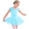 imageStelle Ballet Leotards for Girls Toddler Leotard with Tutu Skirt Dance Tutu Dress LittleBig Kid01pool Blue